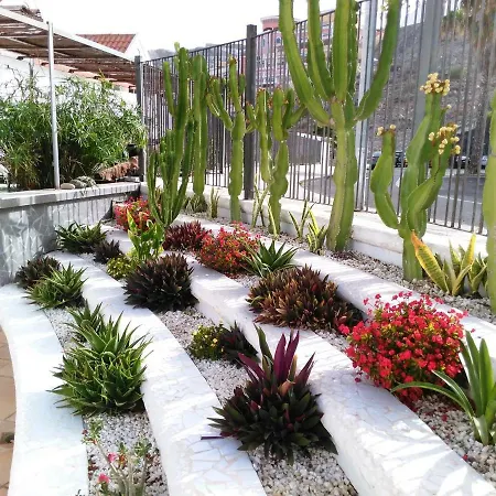 Appartamento Colina Blanca Tenerife. Costa Adeje (Tenerife)